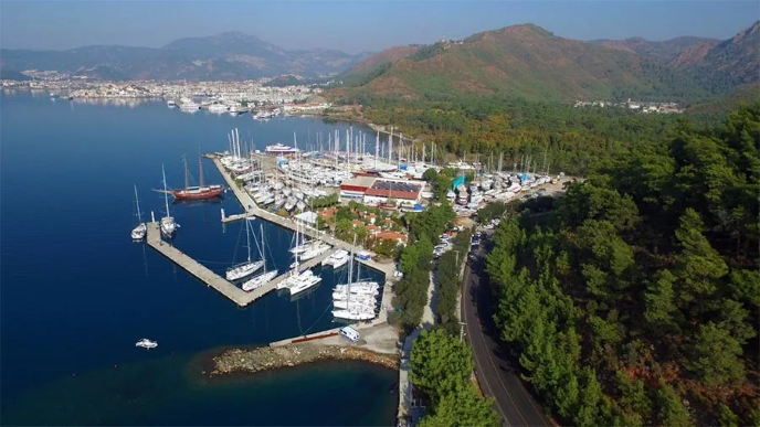 albatros marina