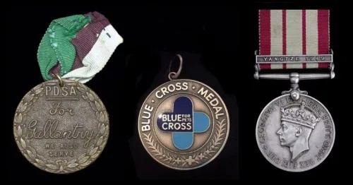 Boat Cats - Simon's medals